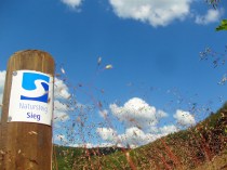 Natursteig Sieg