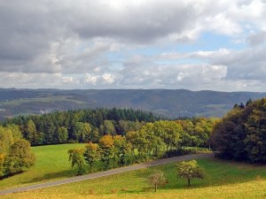 Blick vom Malberg