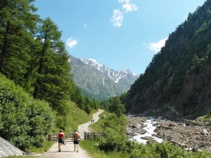 Hier ist gut was los