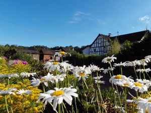 Knuffige Fachwerkhäuser