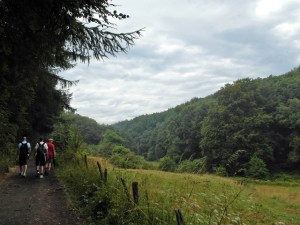 Eifel oder Siebengebirge?