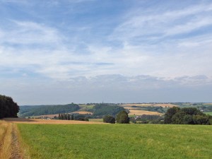 Feld und Wiesenwege
