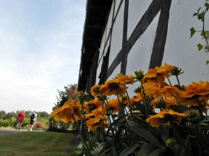 Fachwerk in Wahlfeld