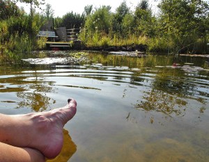 Abkühlung am Teich