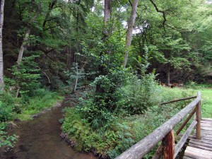 Brücke über den Sammetbach
