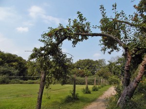 Hier stand einst die Altstadt