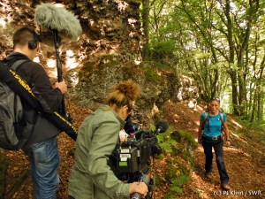 Eigentlich wie immer...