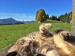 Allgäu - einfach zum wohlfühlen