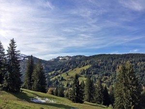 Herrliches Allgäu