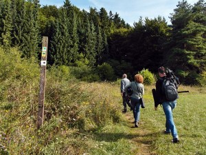 Das Equipment muss auch da hoch