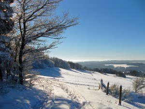 SAMSUNG DIGITAL CAMERA