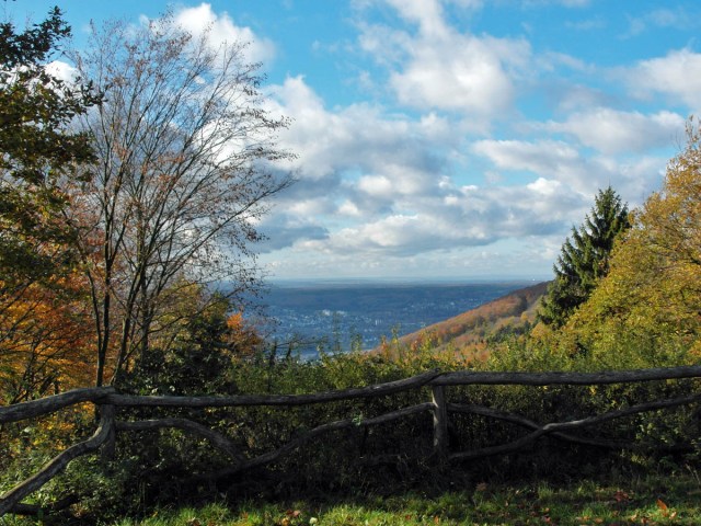 Aussicht von der Ruine Rosenau