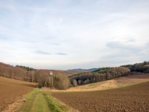 Es geht weiter bergan - Der Blick zurück
