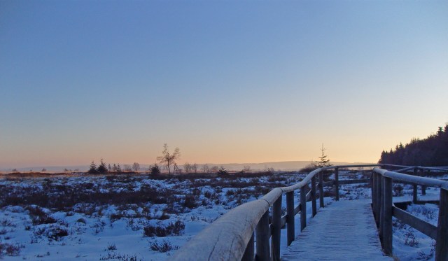 Sonnenaufgang im Hohen Venn
