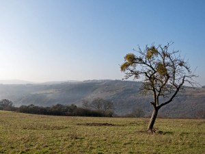 Blick auf den Hunsrück