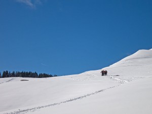 Skitourengeher
