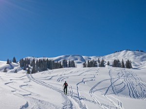 Skitourengeher vor dem Bleicherhorn