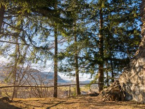 Ruine Burgberg