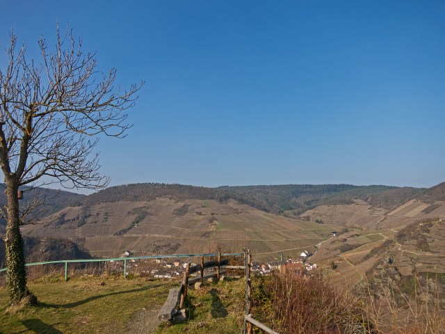 Blick auf Mayschoß und den Rotweinwanderweg