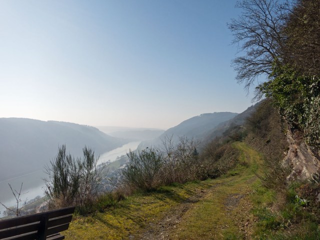 Wiesenwege mit Moselblick
