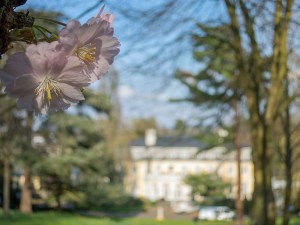 Blick auf die Redoute