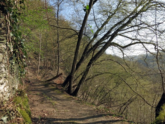 Der Pfad führt mich weiter