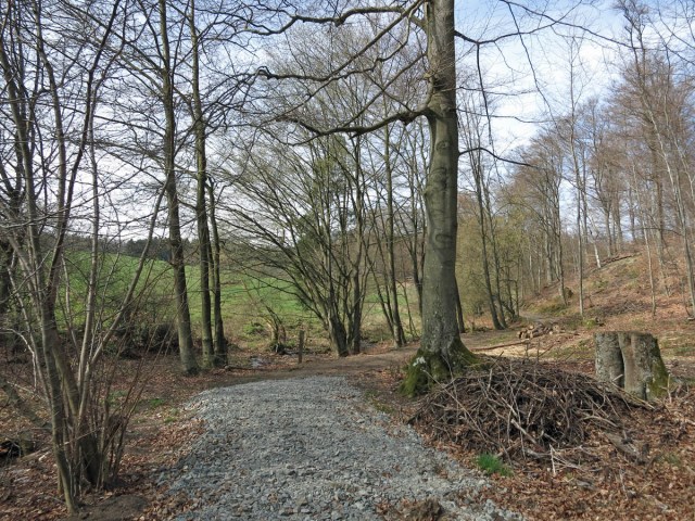 Schotter an Sumpfstellen