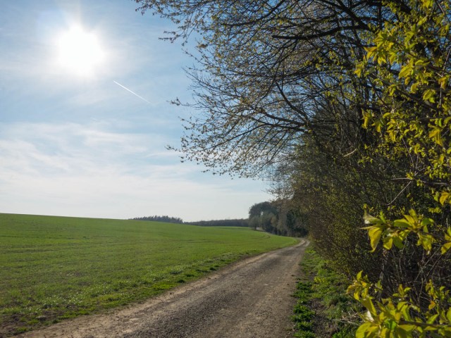 Feldweg