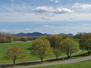 Rheinaue mit Siebengebirgsblick