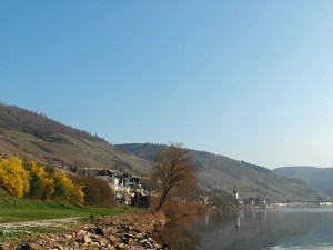 Am Moselufer geht es Richtung Zell