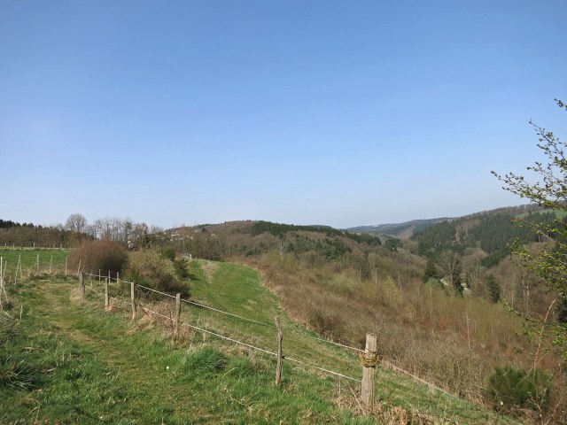 Wiesenweg mit Aussicht