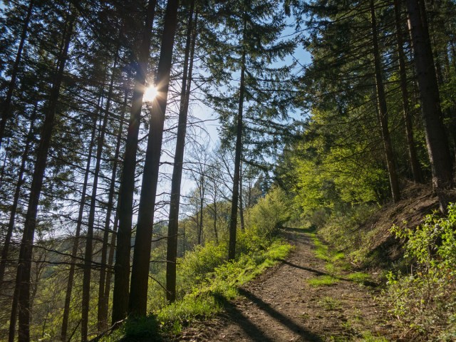 In Richtung Waidmannslust