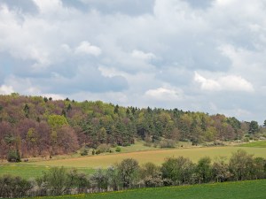 Blick auf den Eifelsteig