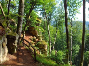 Felsenweg NaturWanderPark delux