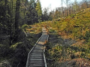 HohesVenn Draht auf dem Steg