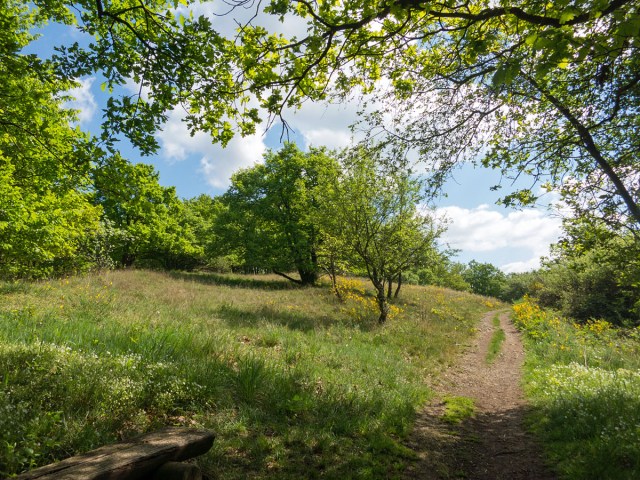 Märchenhafte Stimmung