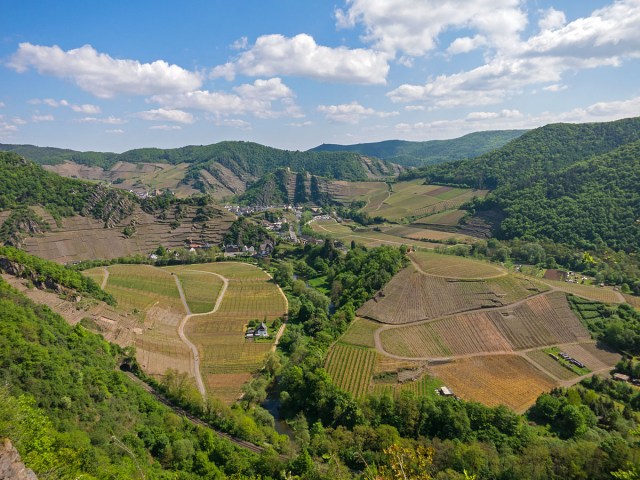 Was für eine Aussicht!
