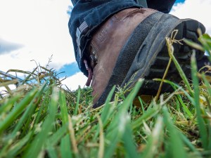 IMG_6706neu_bearbeitet-2