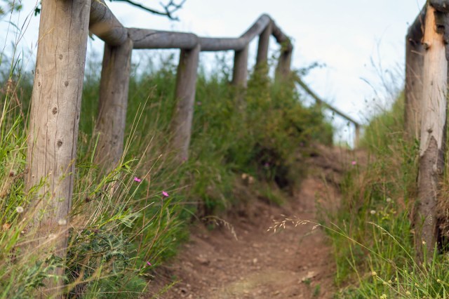 KONICA MINOLTA DIGITAL CAMERA