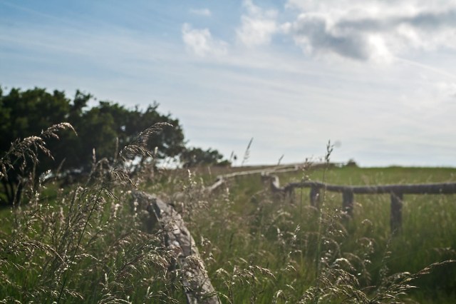 KONICA MINOLTA DIGITAL CAMERA