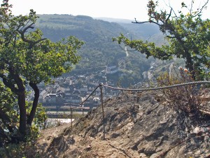 Rheinsteig Königsetappe