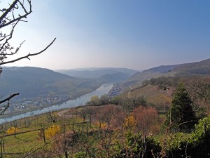 24_Std_Mosel